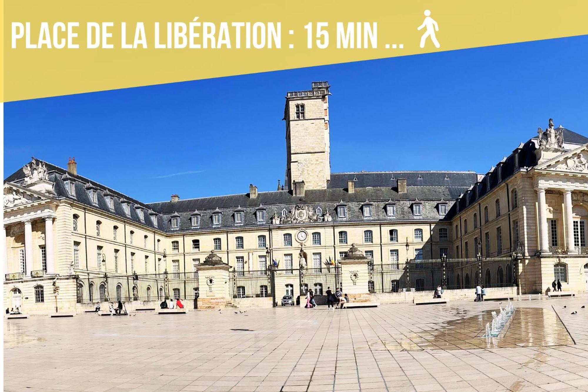 Le Wilson Appart Dijon Buitenkant foto